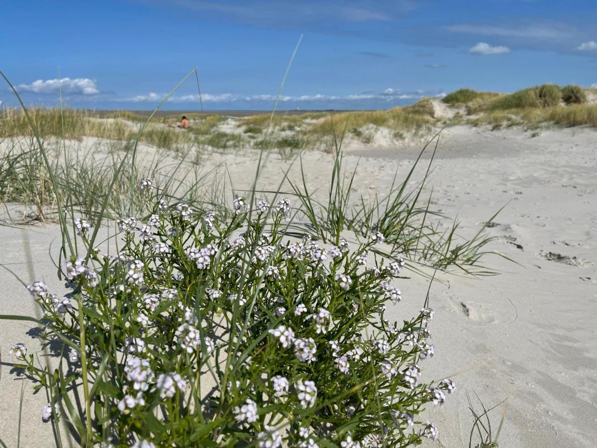 Beach Home Sankt Peter-Ording Exterior foto